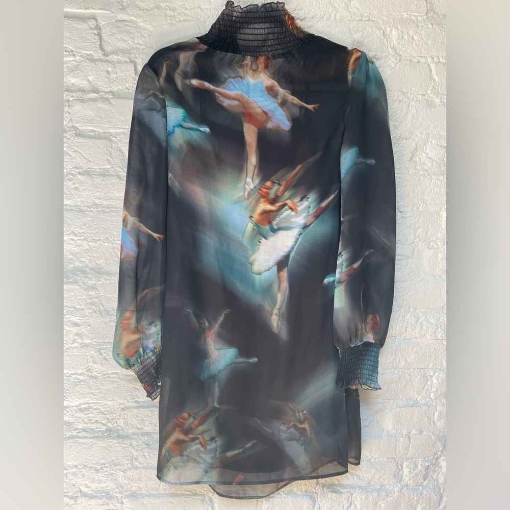 Ted baker dress ballerina print small